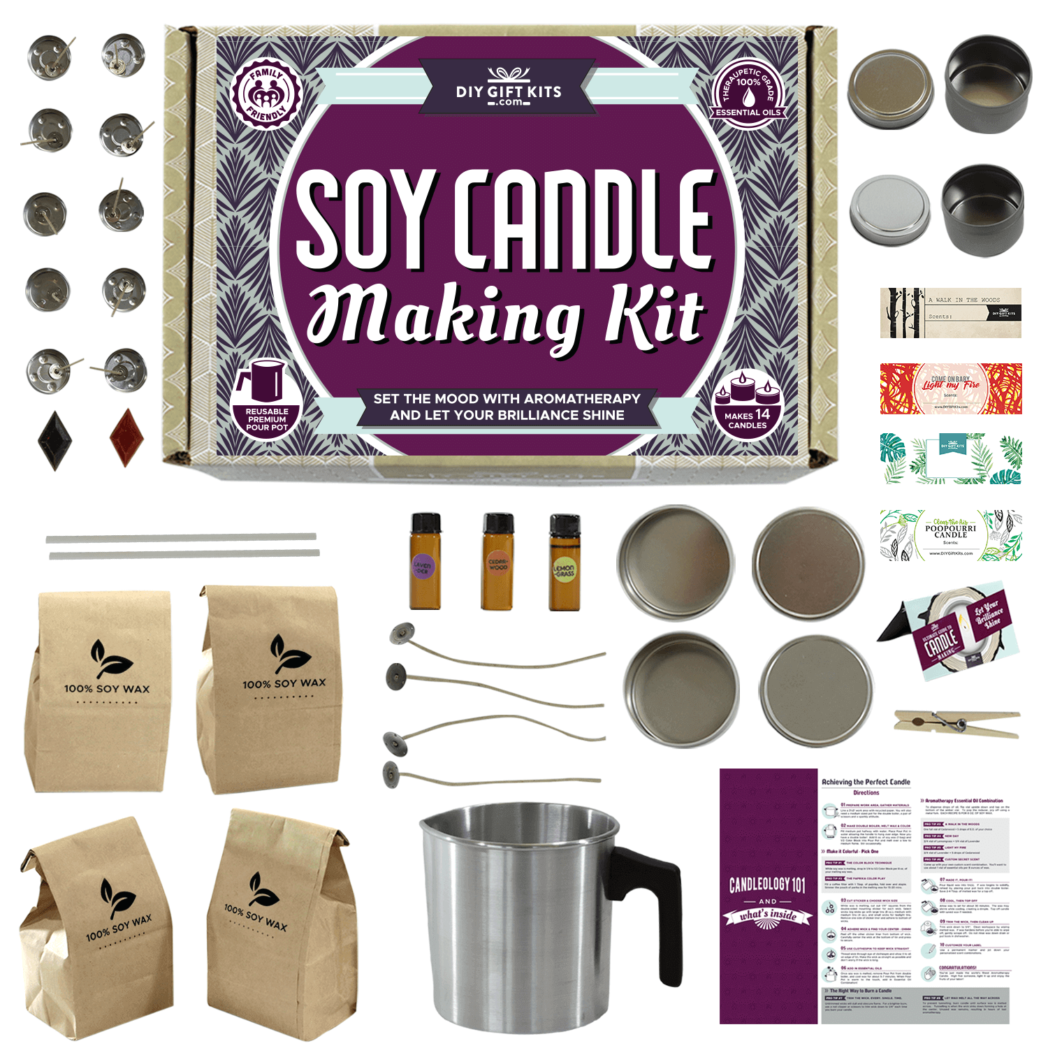 Christmas Soy Candle Making Kit for Adults - Candle Maker DIY Kit for  Beginners, Winter Craft Set for Adult Women, Men and Kids